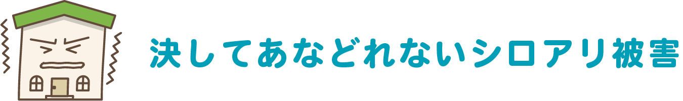 決してあなどれないシロアリ被害