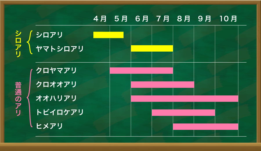 羽アリの特徴と発生時期のまとめ