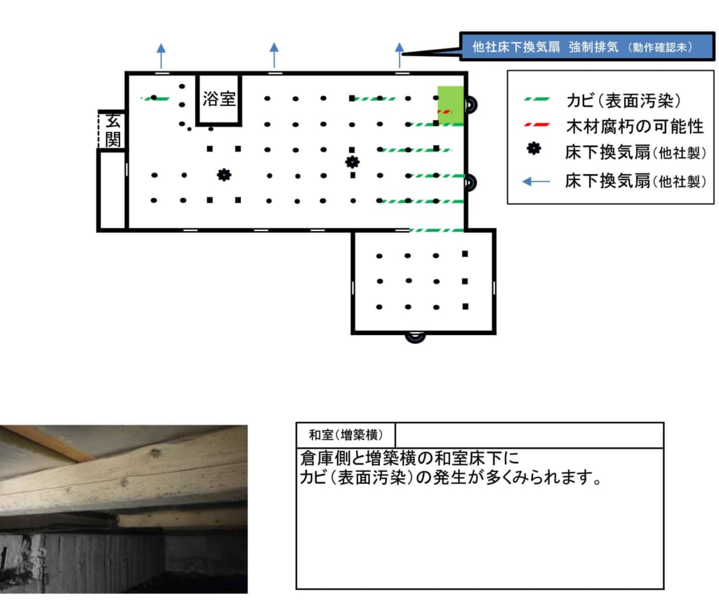 筑紫野市M邸羽アリ駆除