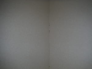 大阪市N邸のシロアリ駆除の写真02