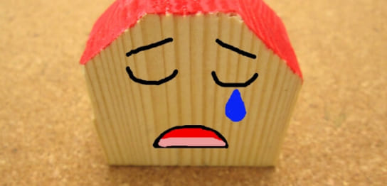 羽アリ駆除業者の基礎知識