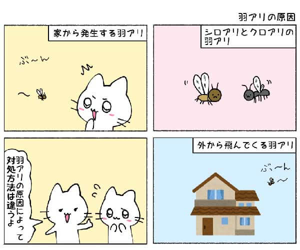 羽アリの原因