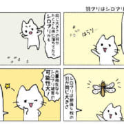 羽アリはシロアリかも