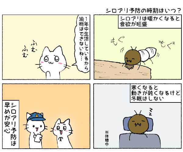 シロアリ予防の時期