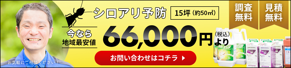 シロアリ予防キャンペーン